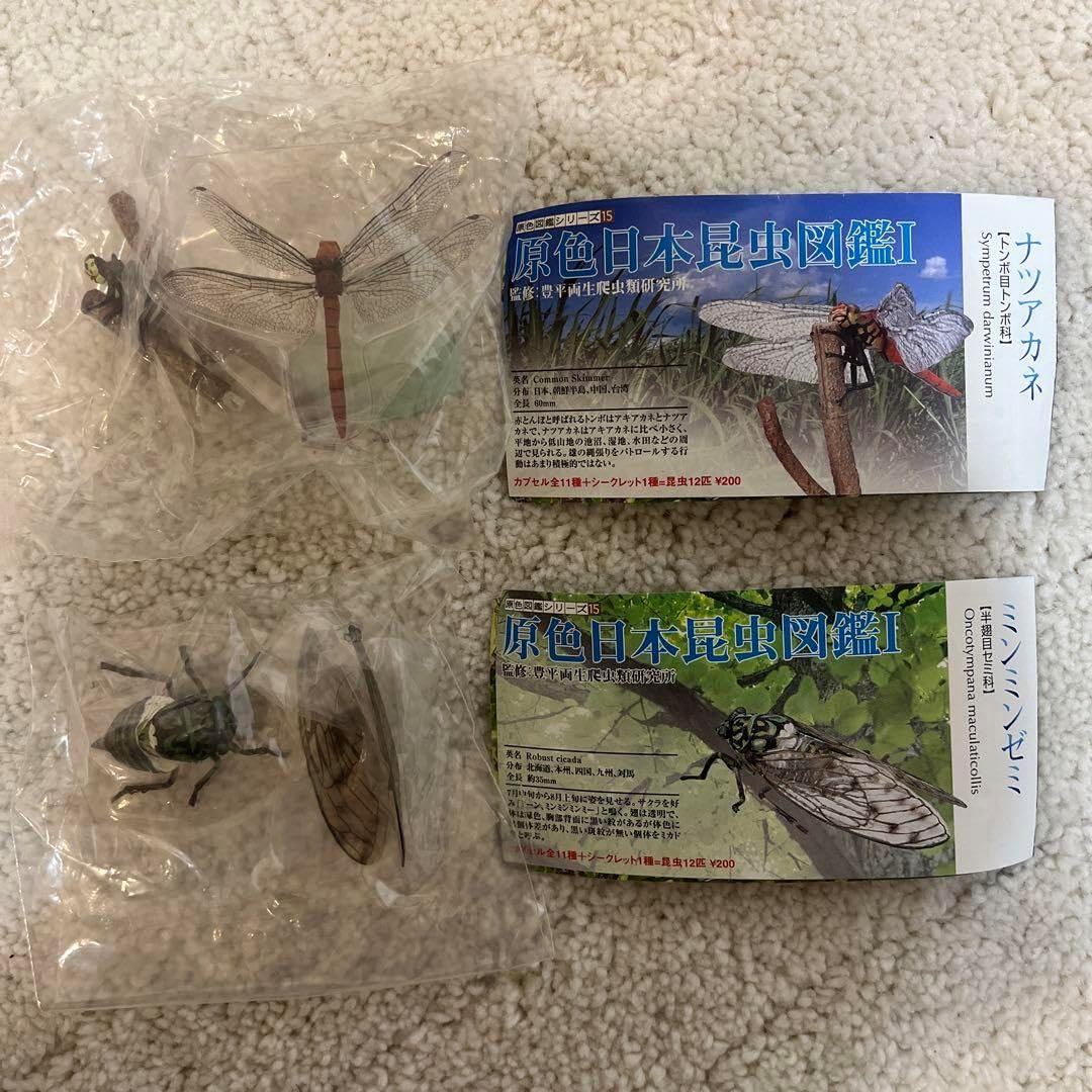 ユージン 原色日本昆虫図鑑I 11種＋シークレット コンプリート 内袋未